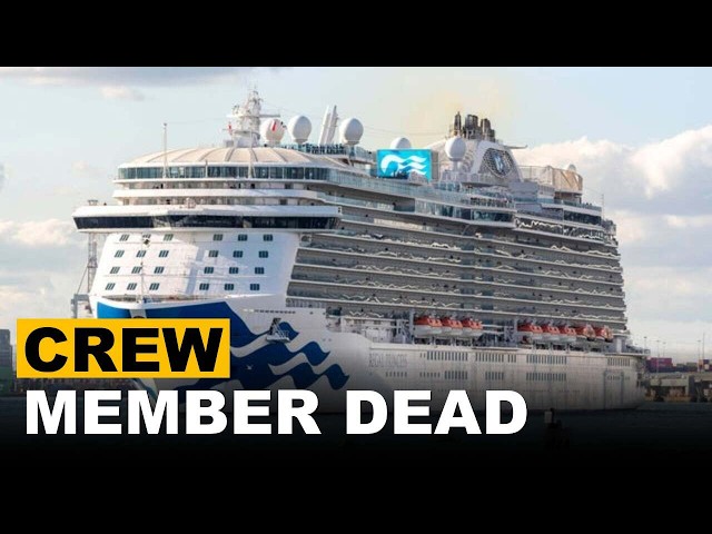 Princess Cruises Crew Member Dies After Going Overboard Near Cancun
