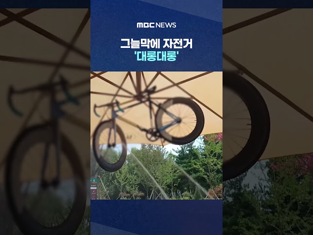 Bicycle "Hanging" from Park Shade Structure..."I Know It's Rude, But" #Shorts (MBC News)