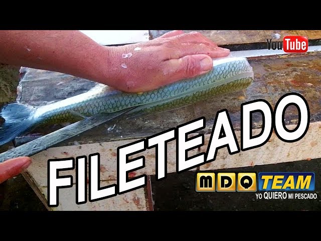 How to fillet silverside fish easily