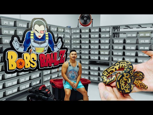 Bobs Balls Facility Tour