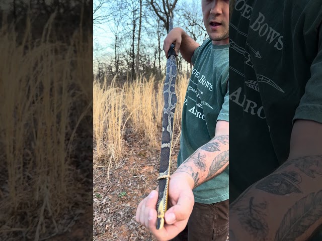 Osage orange longbow with python skin backing