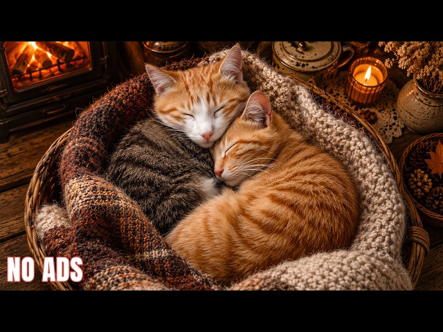 24/7 Cat Relaxation Music & Cat Purring 😺🐾Cozy Cabin Ambience All Night for Deep Sleep, ASMR Therapy