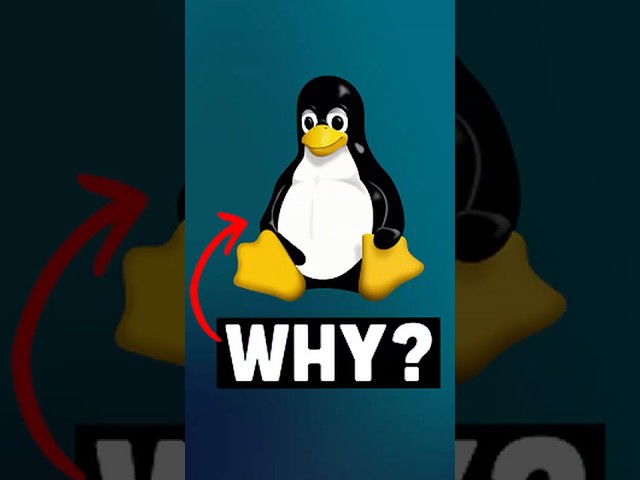 The penguin bite changed tech history... 🐧💻 #softwaredeveloper #linux  #tech