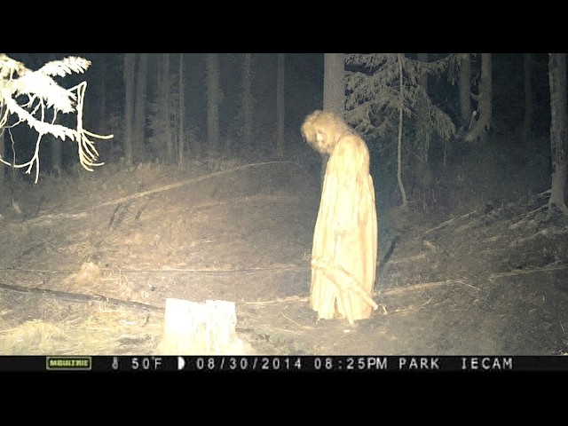 Unknown Creatures Caught On Camera We Cannot Explain - Part 4