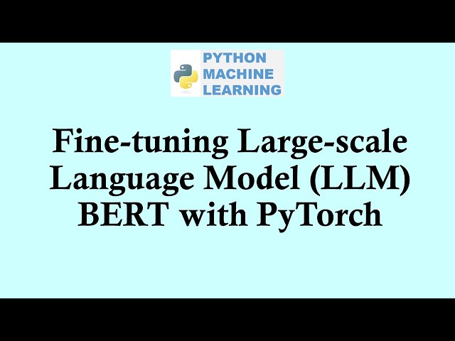Python machine learning | Fine-tuning Large-scale Language Model (LLM) BERT with PyTorch
