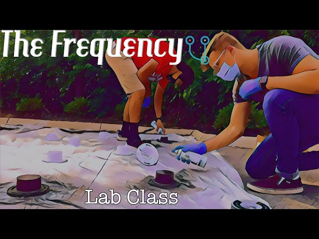 A Day In The Life of a GROOVIE