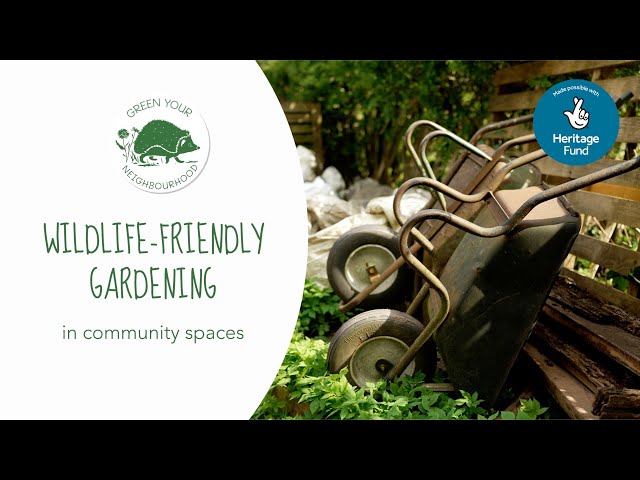 Wildlife Gardening in Community Spaces | Green your Neighbourhood