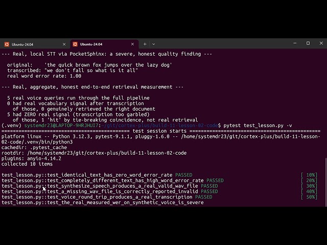 Build 11 lesson 02: Local Voice AI with TTS & Offline Speech Recognition