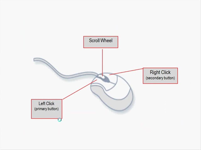 COMPUTER BASICS FOR  LEARNERS Course 1