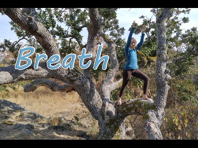 Back to School Yoga: Science Class: How to Breathe, Intermediate Yoga Class, Yoga with Melissa 347