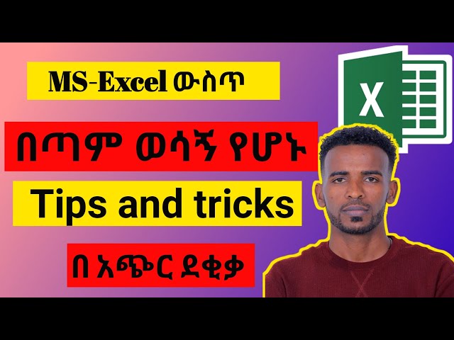 Excel Data Bars Tutorial for Beginners | Visualize Your Data Fast!"** In Amharic