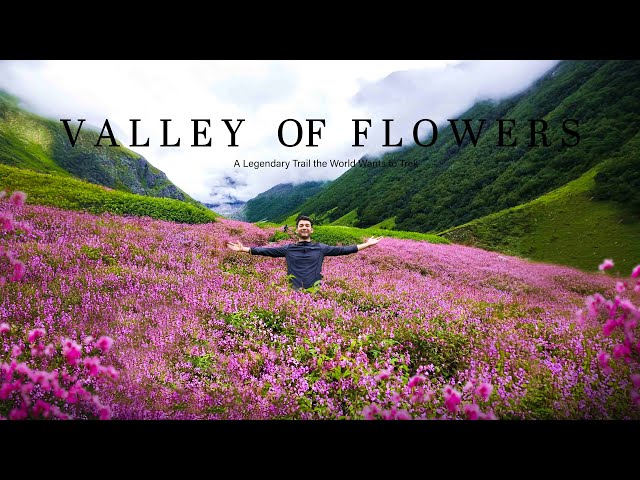 Valley of Flowers | 50km of Hiking Through a Floral Wonderland of Uttarakhand |
