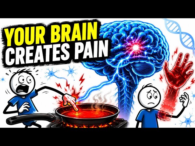 Why Do We Feel Pain? The Science Your Brain Hides From You