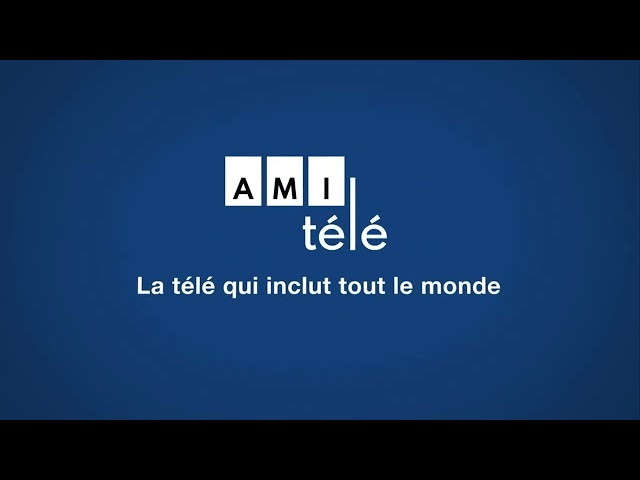 AMI tele bumper 2
