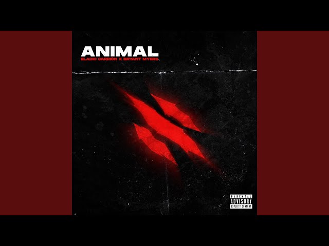 Animal
