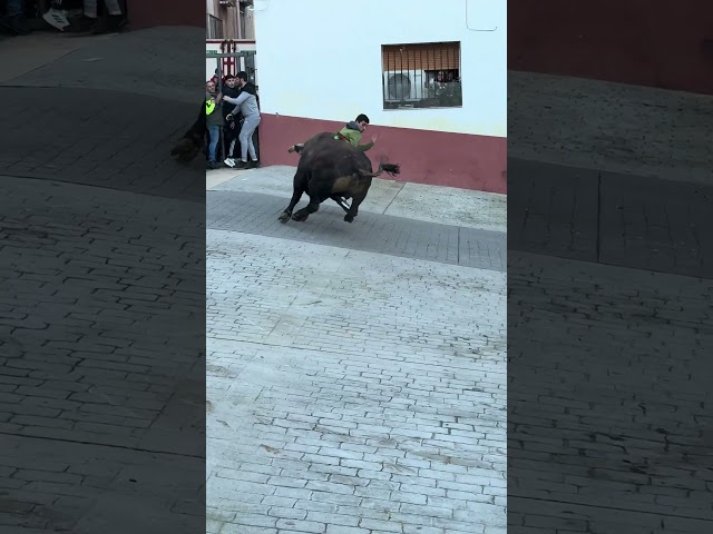 ¡Susto tremendo con este toro en las fiestas de Tales! #toros #susto