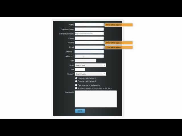 True CSS3 Multi-Option Form Demo