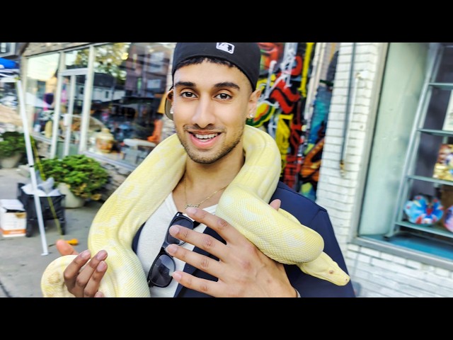 GIANT SNAKE IN PUBLIC | How People React #3