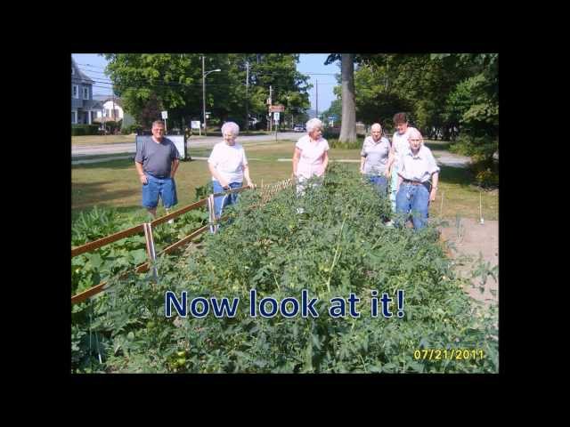 TASCC August 2011.wmv