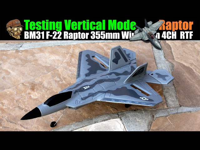 Testing Vertical Mode! BM31 F22 355mm Wingspan 4CH Twin Brushless Motors Gyro RTF