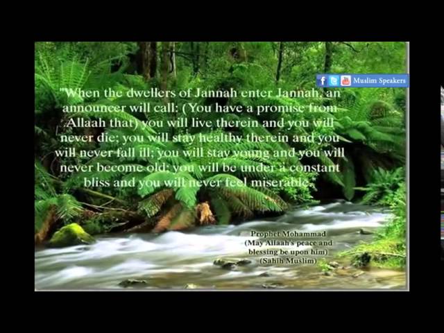 A Glimpse of Paradise - Beautiful - Sir Nouman Ali Khan