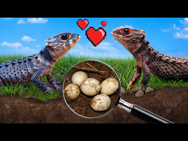 Trying to Raise My Baby Dragons