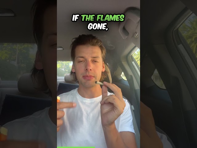 How To Light A Joint #truebudsshow