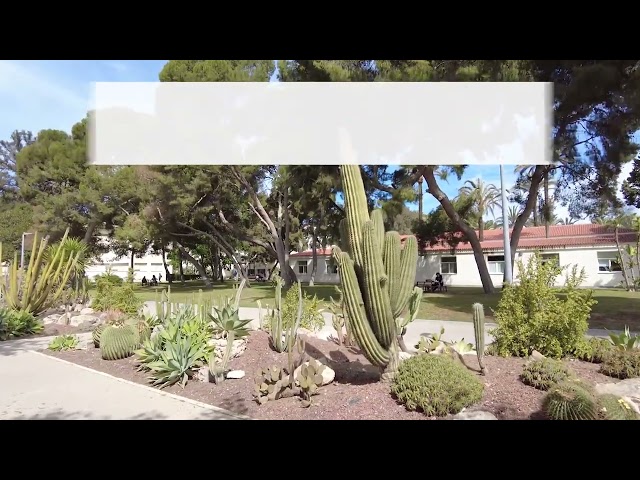 Botánica en la UA