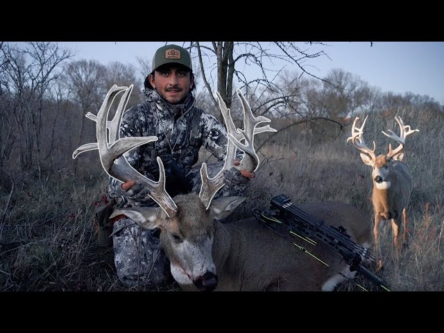 187" GIANT PUBLIC LAND KANSAS BOW BUCK