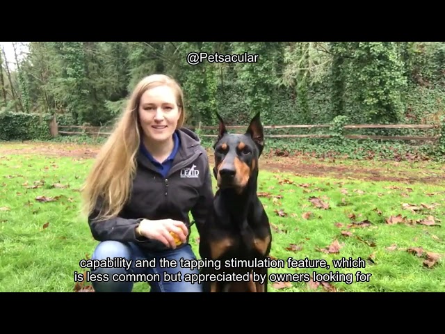Educator E-Collar Review: Is This Humane Dog Training Collar Worth Your Money?