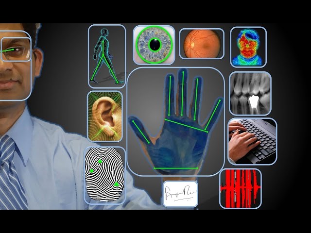 DIP Lecture 1: Digital Image Modalities and Processing