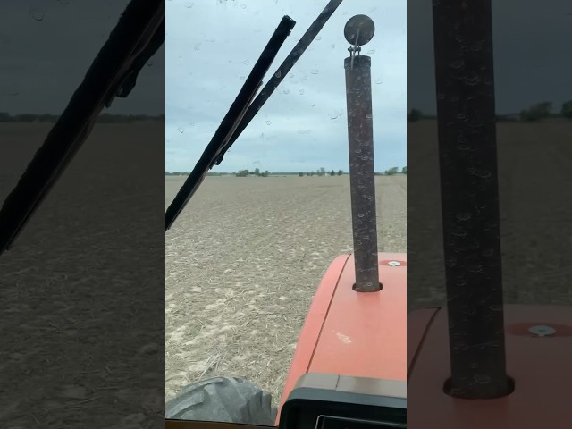 So much fun running the 8070 👍🏻🌱 #plant25 #familyfarm #allischalmers #8070 #bigtractorpower