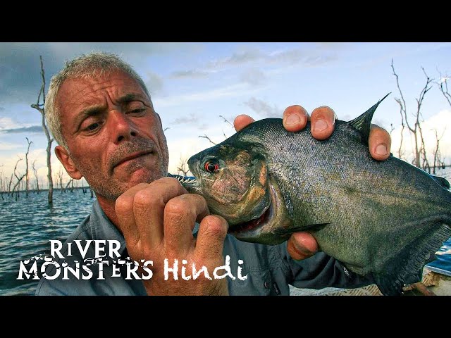 River Monsters Hindi S1E1 – Piranha | Ep 1