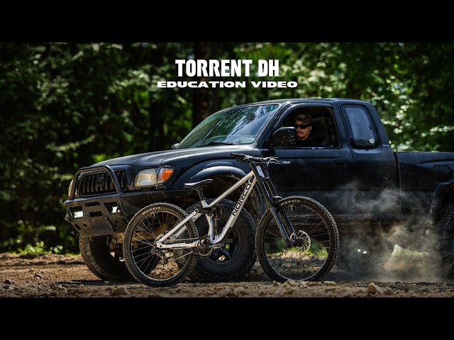 Norco Torrent DH | Design, Setup & Who It’s For