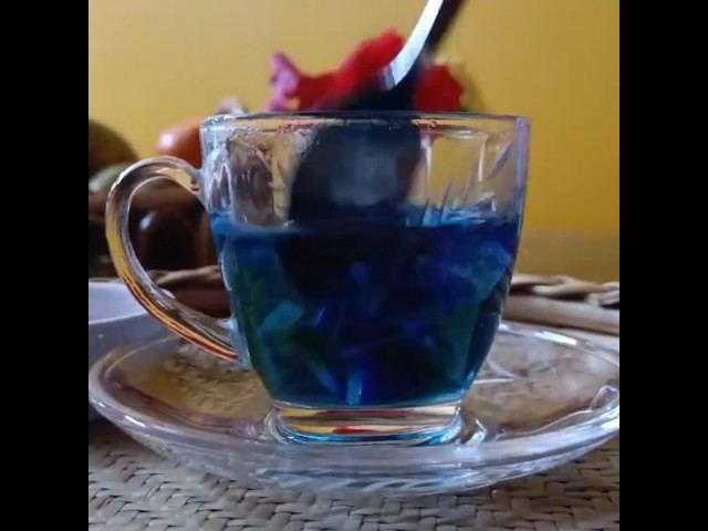 Butterfly Pea Flower Tea recipe by Shamima's Kitchen || #food #tea  #flowertea  #blue  #drink #fyp