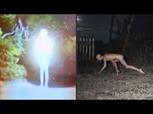 Security Cameras Recorded Creatures That Shouldn’t Have Been There