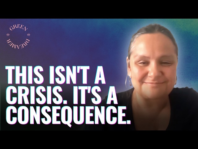 What exactly is collapsing? ft. Vanessa Machado de Oliveira