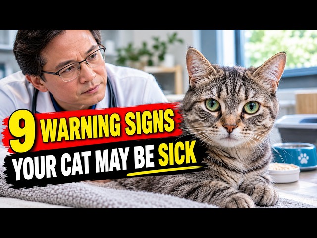 Your Cat Can’t Tell You When Something Is Wrong — 9 Warning Signs Every Cat Owner Must Never Ignore