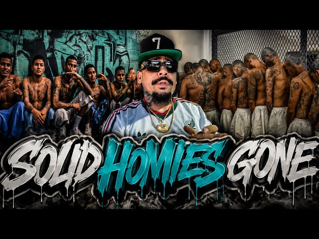     Hood Stocks Sends a Powerful Message to the Streets 💯💥