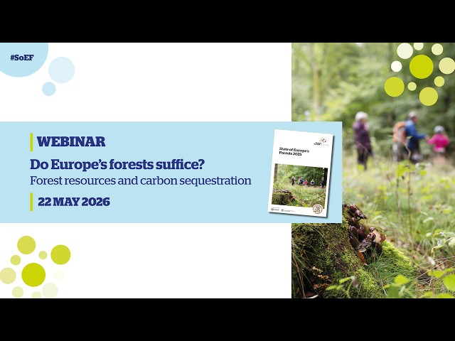Webinar: Do Europe’s forests suffice? Forest resources and carbon sequestration