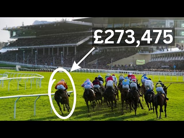 7 Cheltenham Festival Gambles That Beat the Bookies