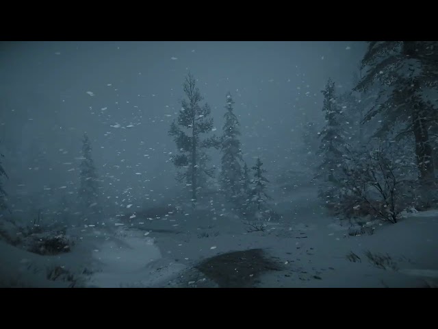 Cozy Blizzard White Noise ❄️ Howling Winter Wind for Deep Sleep 10 Hours ASMR