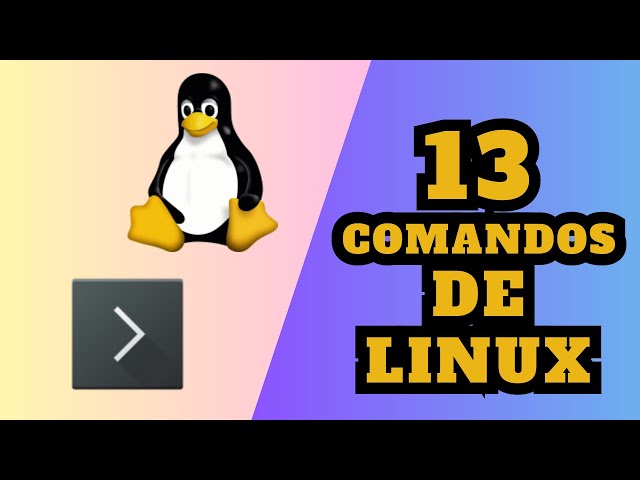 Los 13 Comandos Básicos de Linux que Debes Conocer