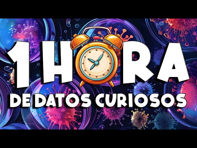 1 HOUR of non-stop FUN FACTS and THINGS YOU DIDN'T KNOW! ⏰😲1285