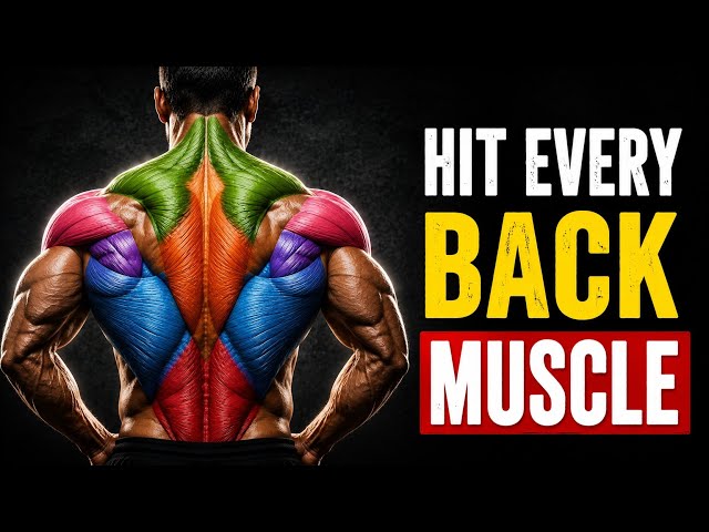 The Only Exercise You Need for Each Back Muscle