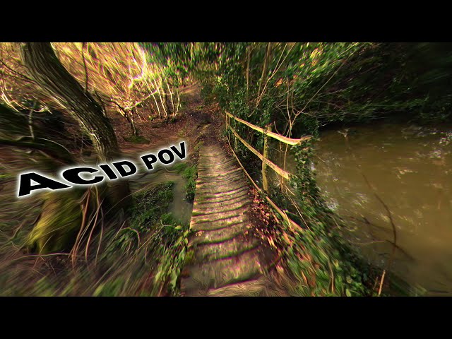 ACID REPLICATION | Psychedelic Visuals | relaxing trippy visuals | trippy nature acid trip pov !!!