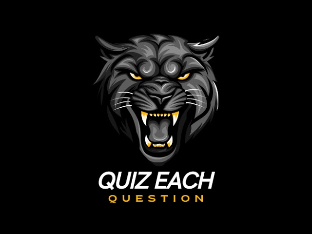 Quiz  each question Live Stream