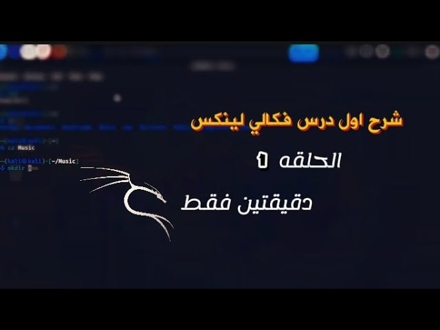 أهم أوامر Terminal في Kali Linux للمبتدئين | دليل البداية #KaliLinux #CyberSecurity #LinuxCommands  