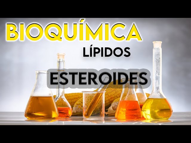38- STEROIDS: WHAT ARE THEY? || BIOCHEMISTRY