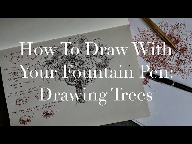How to draw with your fountain pen: drawing trees in pen and ink